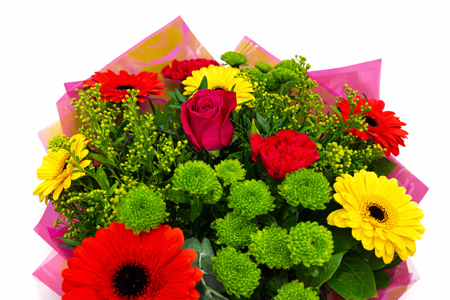 Gerbera Carnival