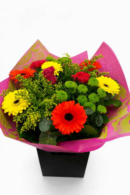 Gerbera Carnival