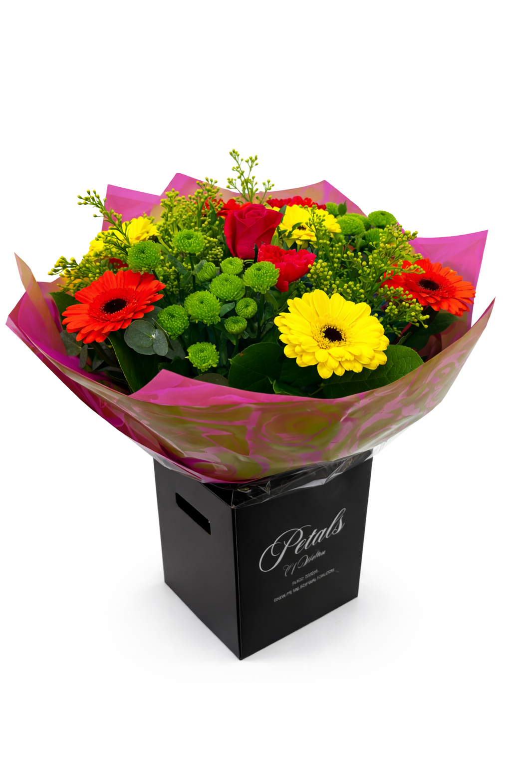 Gerbera Carnival