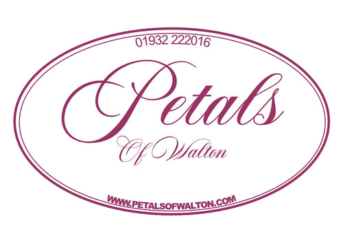 Petals of Walton